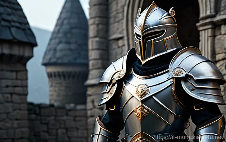 뮤 모나크 방어력 증가 아이템 - **Prompt:** A valiant male paladin standing firm in a fantastical, battle-worn castle courtyard at d...